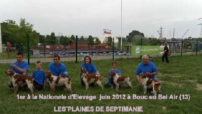 des plaines de septimanie - Premier lot d'élevage à Bouc Bel Air