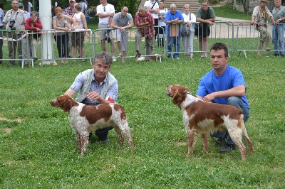 des plaines de septimanie - Nationale d'élevage 2012