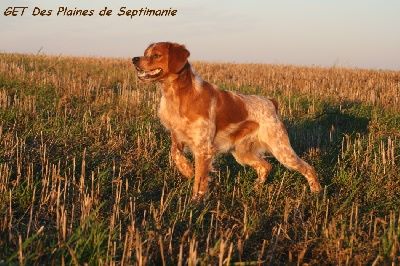 des plaines de septimanie - Get a ENFIN OBTENU L'HOMOLOGATION DE SON TITRE de Champion G.T !!!!